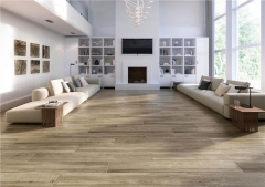 Alaplana/Alaplana Cleveland