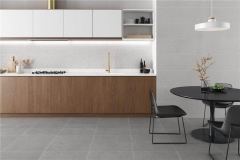 Alaplana/Alaplana Dicot