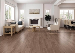 Alaplana/Alaplana Evie