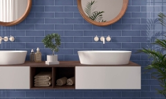 Fabresa/Fabresa Unicolor