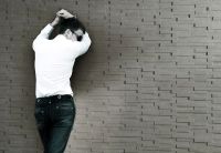 Apavisa Evolution Falburkolat