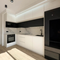 ascale_newtoranostatuario_3.jpg
