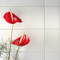 cerasarda_sardinia _10.jpg