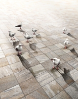 Imola Trail18 Kőhatású járólap