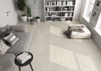 saloni-robur-3.jpg