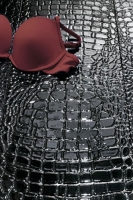 settecento-crocotiles4.jpg