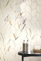 settecento-lichen10.jpg
