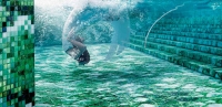 sicis-pools-3.jpg