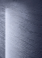 sicis-vetritespatula-2.jpg