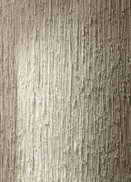 sicis-vetritespatula-3.jpg