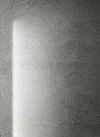 sicis-vetritespatula-4.jpg