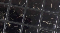 skytech-royal-3.jpg
