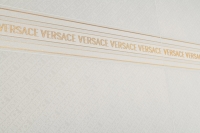 versace_icons_1.jpg